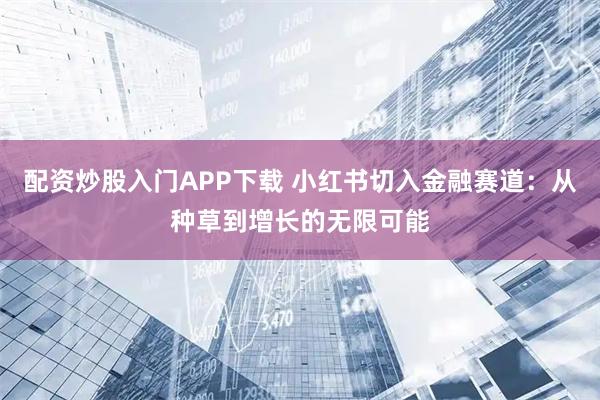 配资炒股入门APP下载 小红书切入金融赛道：从种草到增长的无限可能