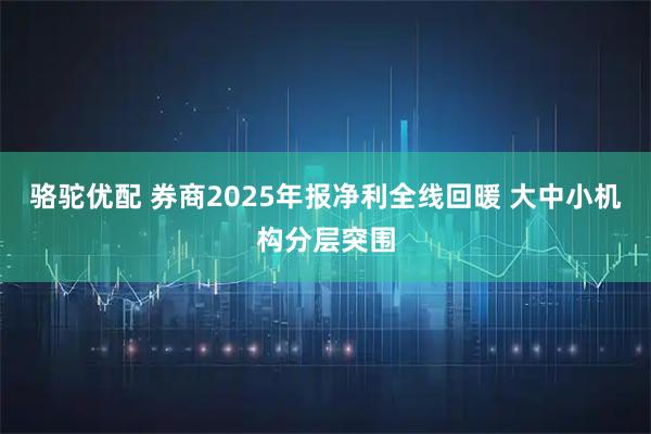 骆驼优配 券商2025年报净利全线回暖 大中小机构分层突围