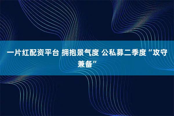 一片红配资平台 拥抱景气度 公私募二季度“攻守兼备”